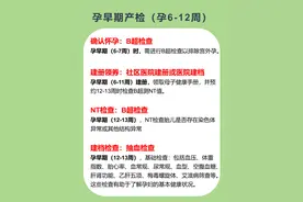 孕期不同时期的重要孕检【孕早期、孕中期、孕晚期】图片