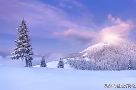 武汉排名前十小学图片