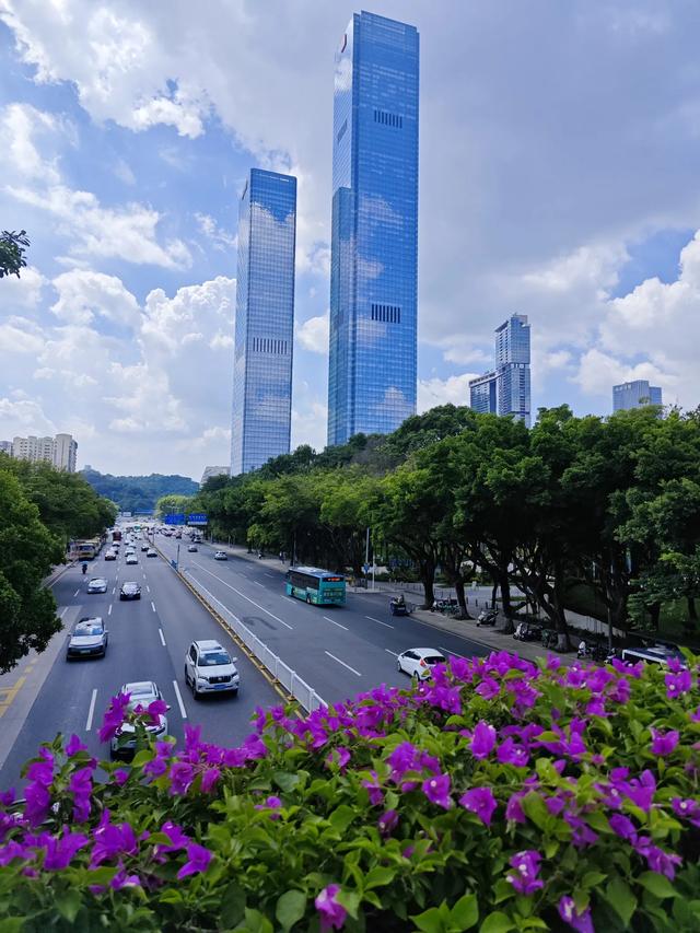 超大城市空气质量第一城,深圳的天空有多美?