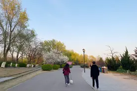 浙江杭州一女子遛狗不拴绳吓哭小女孩，孩子爷爷怒将狗狗摔死图片