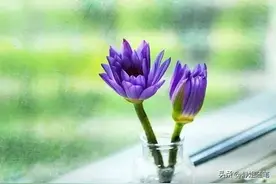 人生最好的状态，在忙碌中充实，在闲暇中治愈图片