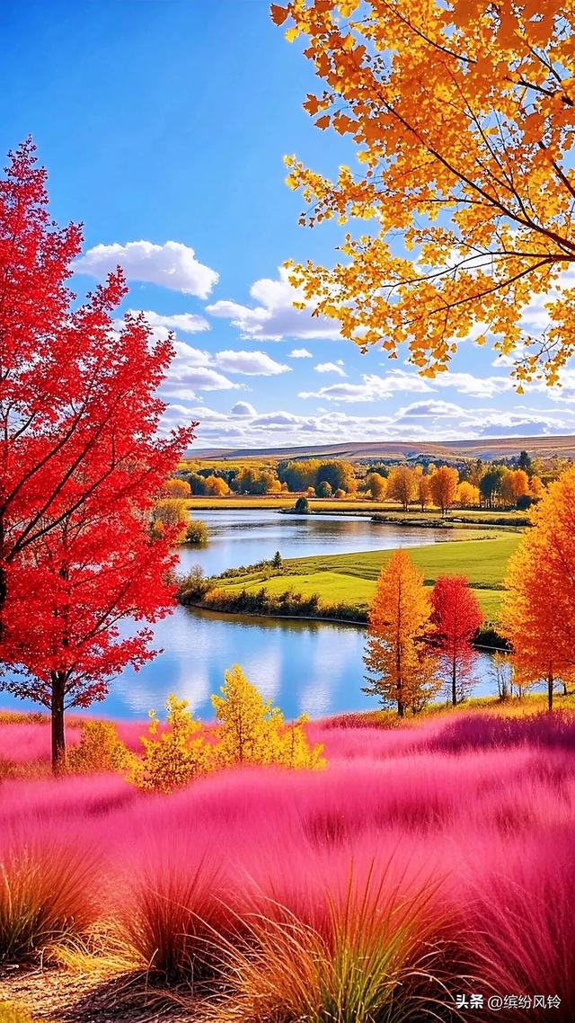 秋把山野调得浓烈