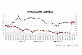 REITs再度火爆，开年连涨！网下认购倍数创新高图片
