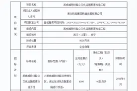 武咸城际铁路做着“最后的努力”，投资8000万，落实公交化运营！图片