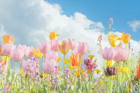 真正的强大是：临危不乱、镇定自若！18句从容淡定，此生风平浪静图片