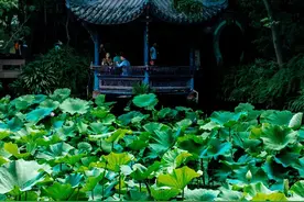 三伏天，来眉山这些凉快的地方待着！图片