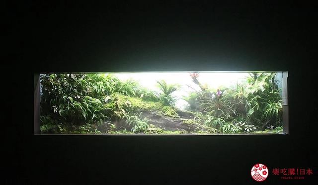 夜游札幌景点推荐「AOAO SAPPORO」水族馆:狸小路地下街直达