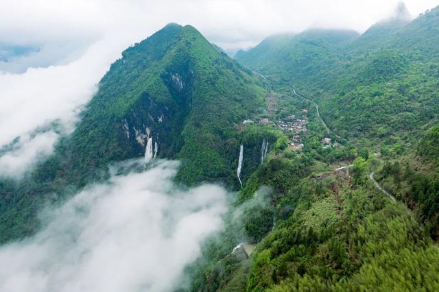我在阳山过暑假｜夏日来阳山，在绿美生态中感受诗意清凉