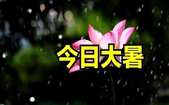 “冷不冷，就看大暑”，今天大暑，今年是60年一遇冷冬吗？早了解