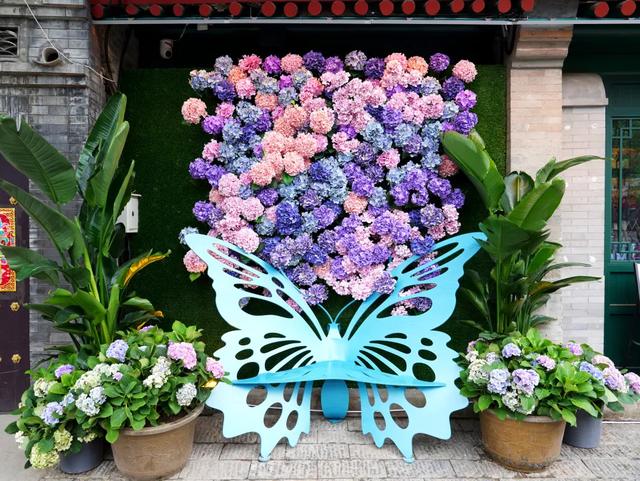 “花漾”漫染千年古道！模式口以繁花织就京西生态人文画卷