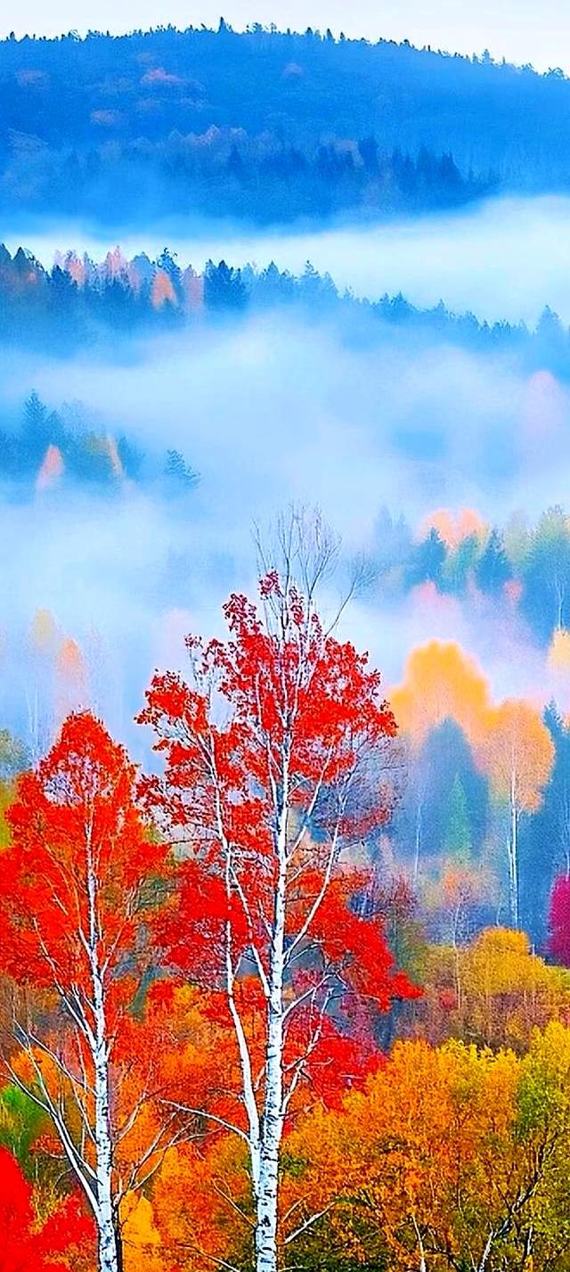 站桩最高心法：不拼蛮力，只练“气贯全身”的通透感