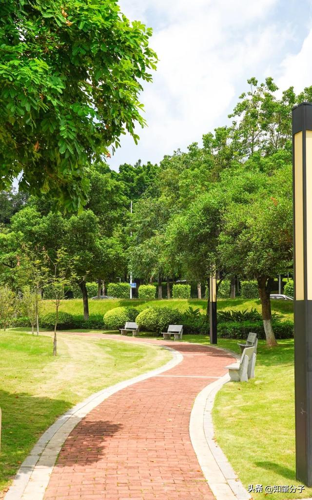 逃离城市热浪！东莞这个秘密花园藏不住了