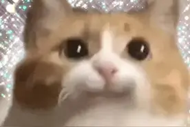 2025年中小学放假时间通知！图片