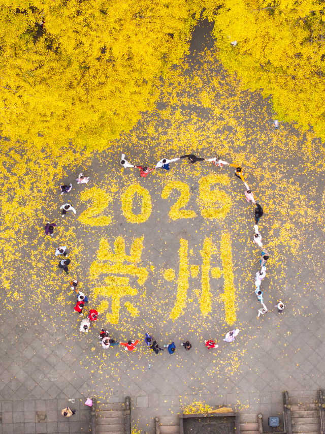 还起什么标题，美不美你们直接看！