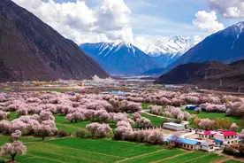 所以，西藏！图片