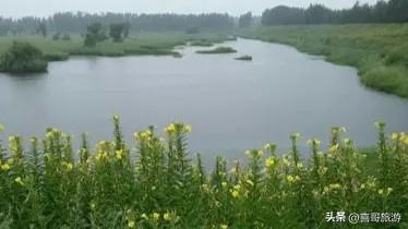 台安大麦科自然保护区：藏身辽河平原的“湿地仙境”，候鸟天堂！