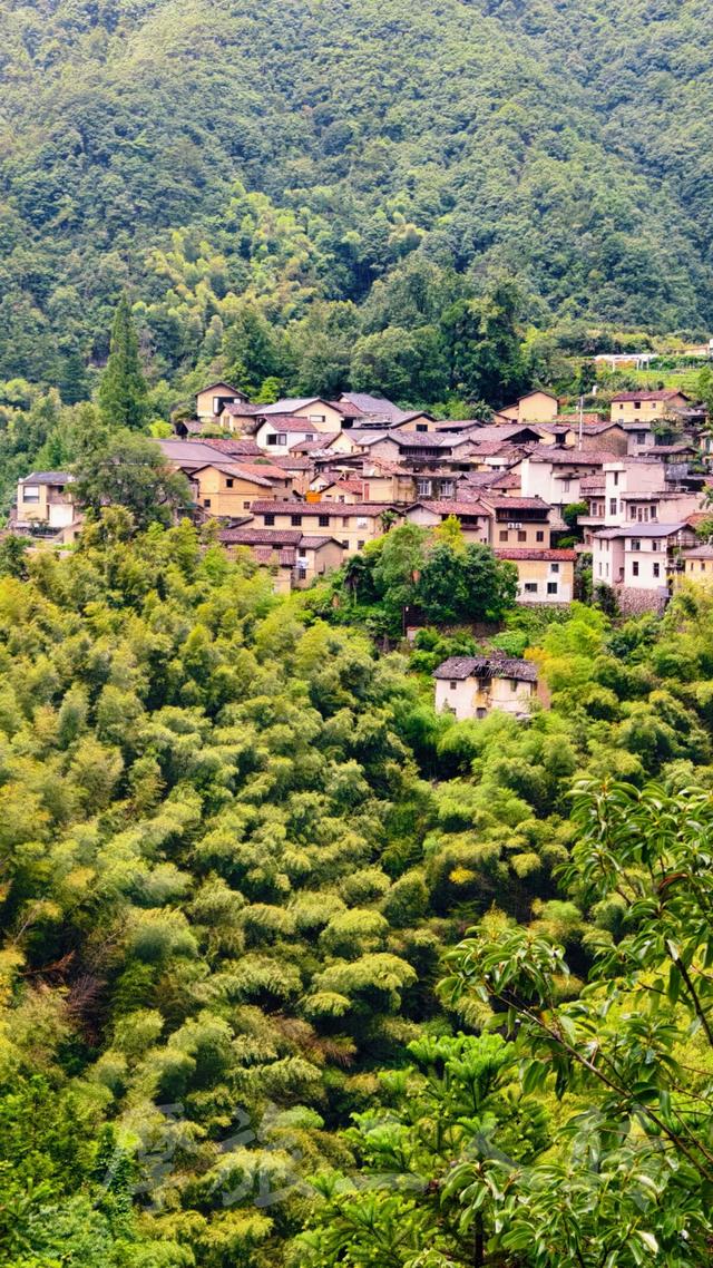 皖浙摩旅二人转——松阳陈家铺篇（上）