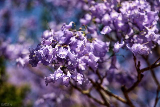 清明后机票价格跳水，五一前这20天是全年最佳错峰窗口