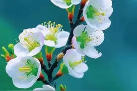 中高考英语中的那些熟词生义你知道多少？美朱老师一文讲清楚图片