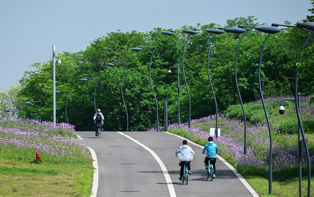 这个春节“骑”开得胜 绿道游持续火热