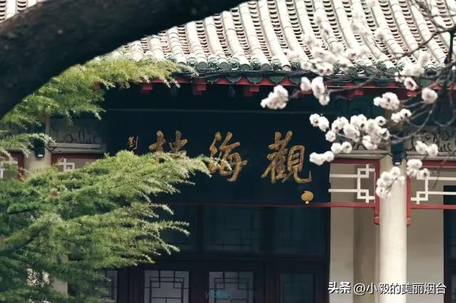烟台人速看！几代人的回忆还要改造，又添新打卡地！