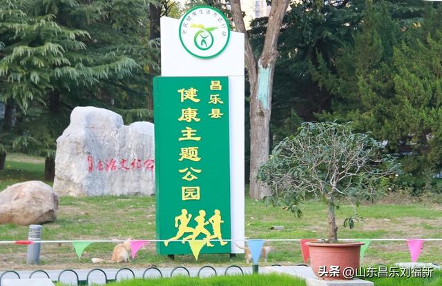 我在昌乐西湖公园拍到的游客