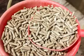 只要不嫌丢面子，一天挣900很轻松，这3个生意夫妻两人干正好！图片