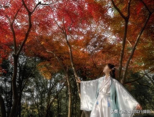 香山红叶摄影进阶：必须掌握这6个实战技巧，张张出大片成顶流