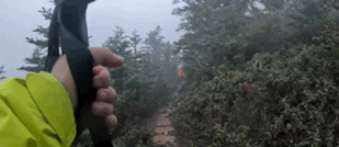 网红出片，真要命