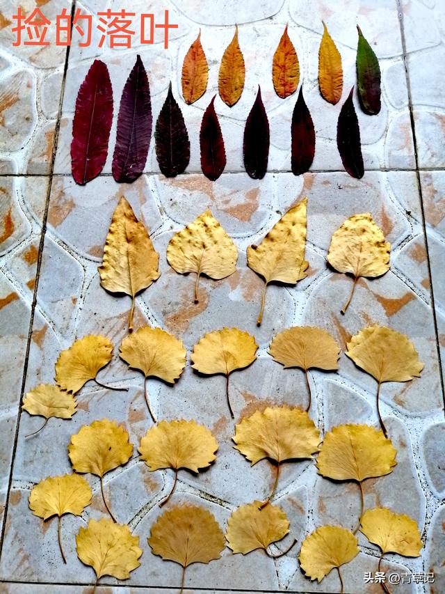 穷游15天（20）15天玩了20多个景点消费3385元