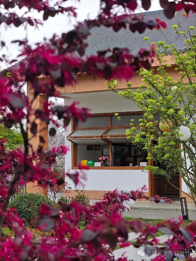 闹热得很！再过两天，绵竹这里又是人山人海……