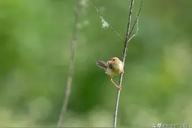 六亲缘浅是一人独享的清福，说明你和他人两不相欠图片