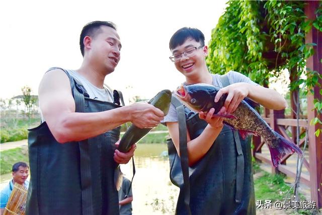 佛山紫南芳华谷清明开放，七大主题亮相，打造湾区微度假目的地