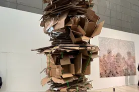 大吐槽！央美毕业展作品像垃圾，作者回应成本超2万，网友笑疯了图片