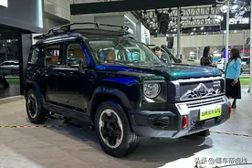 新车 | 配车顶行李架等，哈弗猛龙冈仁波齐共创版亮相深圳改装车展图片