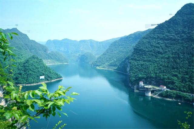 [湖北 宜昌市夷陵区雾渡河镇]
