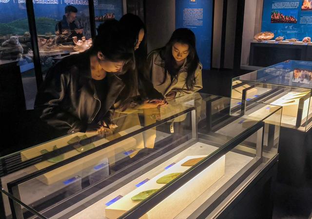 楚雄历史文化展在大同市博物馆举办