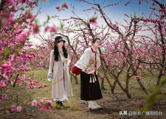 中原农谷第四届「乡见·桃花源」3月21日盛大启幕，邀您共赴春日盛宴！