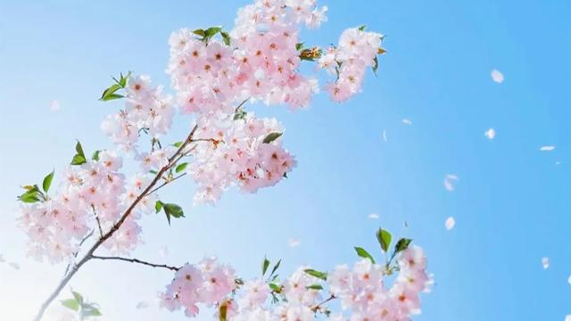 青岛之行结束,今天下午去烟台的同学,给我留下3000块钱,真愁人