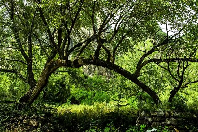 太行山水添新章：澳涞山庄十景评选榜单出炉