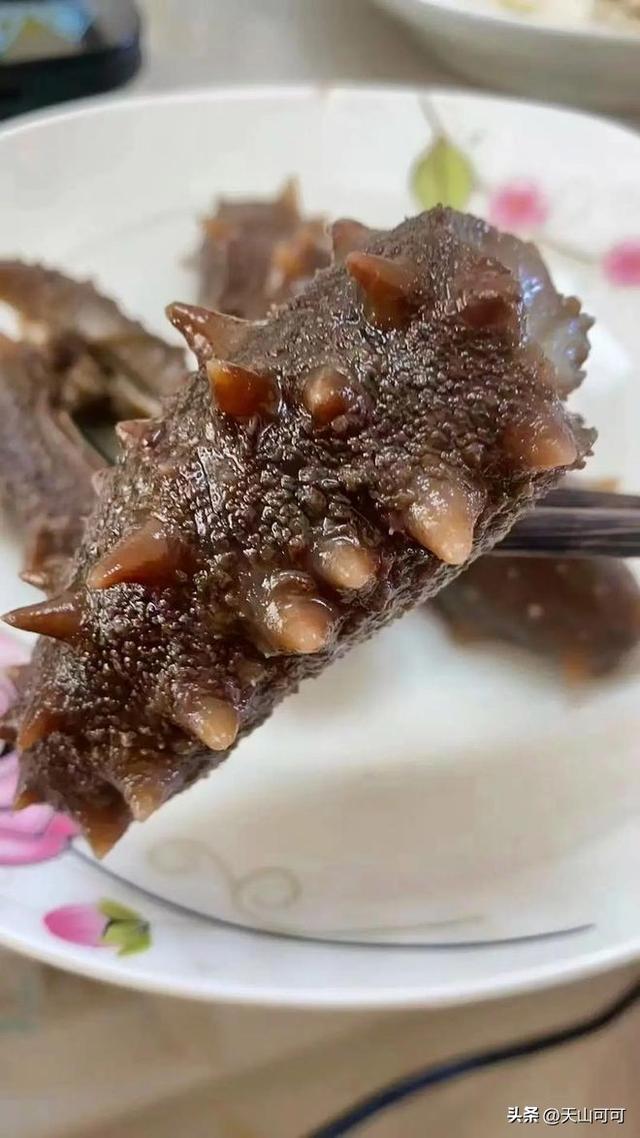 野生海参与养殖海参的区别 2026年野生海参与养殖海参的区别图片