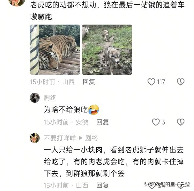 笑不活！国庆假期动物园的动物都吃yue了，网友:每逢佳节胖三斤