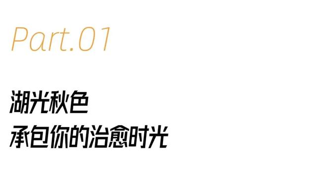 在将军路，一天能体验多少种快乐？