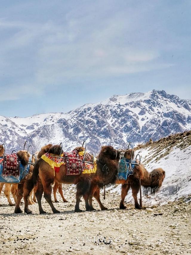 飞越5000多公里，只为看一眼在崇山峻岭间屹立的中国西极