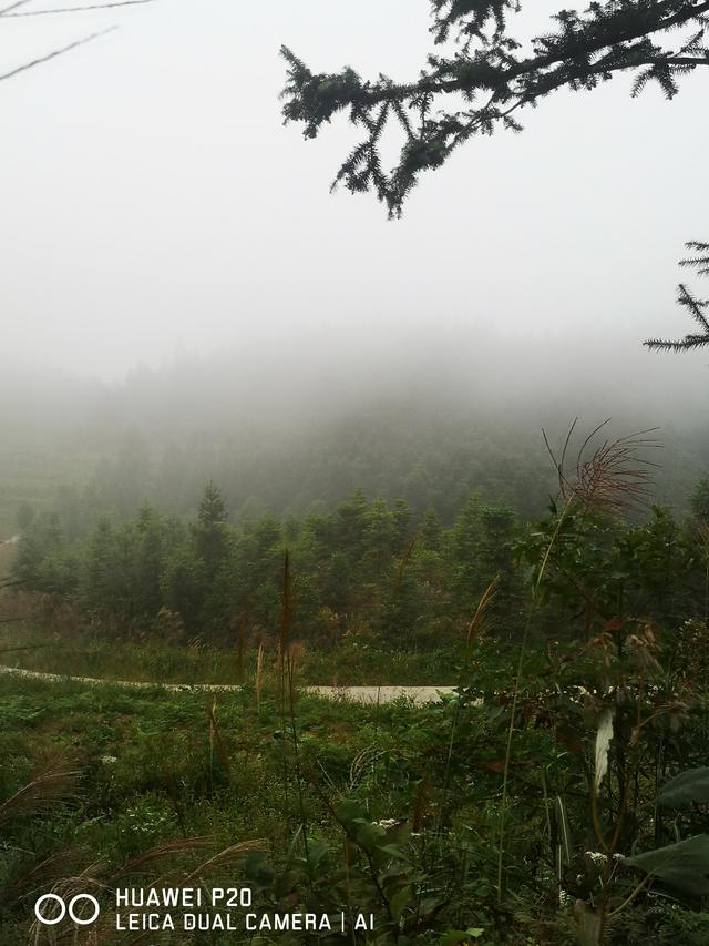 酷暑中探秘雪峰山巅峰的奥妙