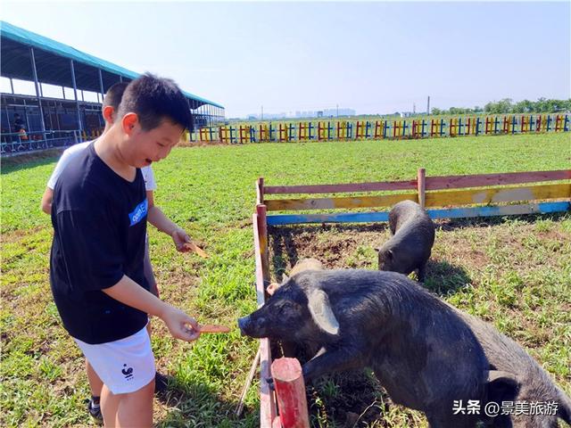 五一假期去哪儿？佛山紫南首届农耕文化节邀您共赴田园之约