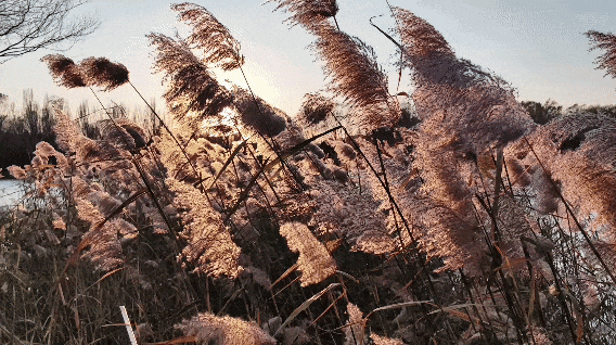 用电影的方式“打开”初冬！每一帧，都浪漫