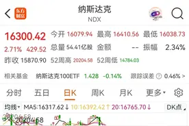 美国股市大涨，三大指数集体上攻，纳指上涨2.71%，中概股大涨图片