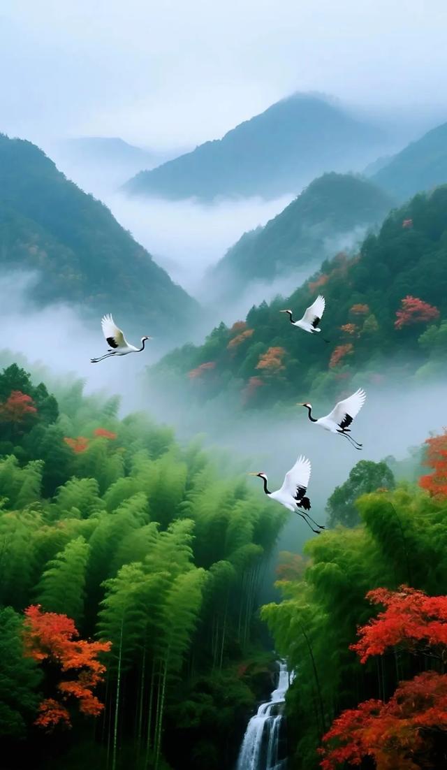 #竹林 #好风景