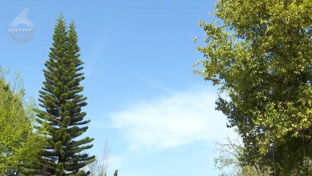 “Color Walk”火了！在昆明，用颜色解锁一座城